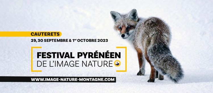 L'Affiche de la 9e édition du festival pyrénéen de l'image nature, qui aura lieu à Cauterets du 29 septembre au 1er octobre 2023.