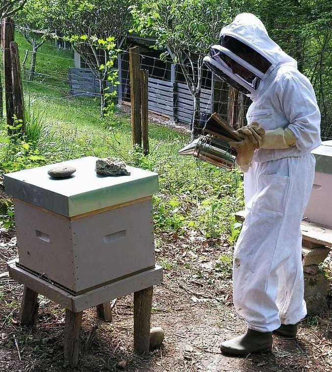 Anthony, l'apiculteur qui a installé ses ruches au domaine Ô Petit Bonheur, près de Navarrenx.