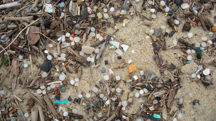 ALERTE BILLES – Les plages basco-landaises menacées par des granulés plastiques