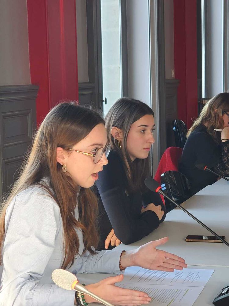 Des élèves du Lycée Victor Duruy lors de la simulation de débat parlementaire.