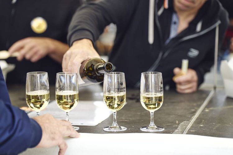 Une dégustation de vin blanc à l'occasion de la Terrasse du Jurançon, à Pau. Crédit photo : Pierre Carton