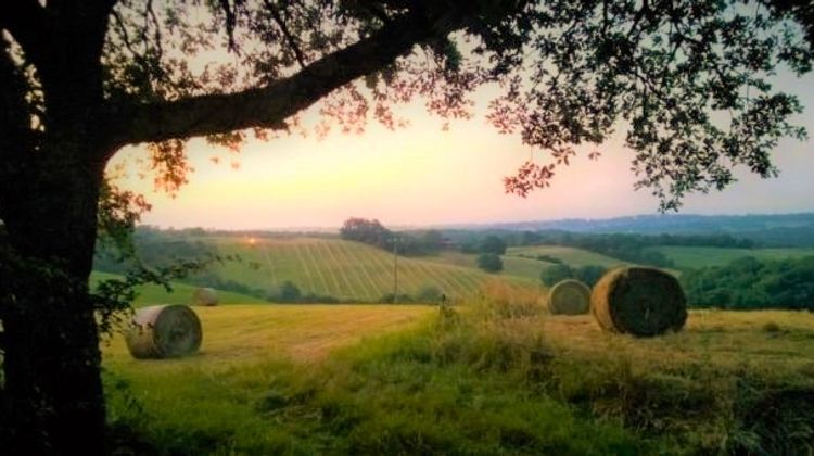 Un champ du Gers avec l'ombre d'un chêne en premier plan, des meules de foin, des vignes à l'horizon et le soleil levant