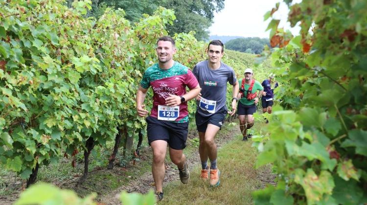 Deux hommes en train de courir à travers les vignes