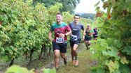 Deux hommes en train de courir à travers les vignes