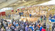 AGRICULTURE EN FÊTE – Rabastens de Bigorre va faire le plein