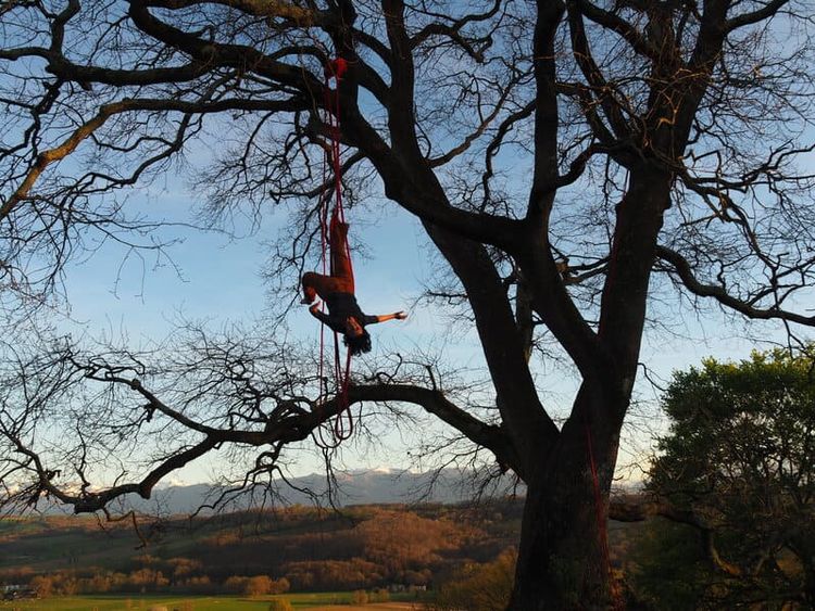 La compagnie Rouge Elea et son spectacle Conservation avec un arbre seront dans la forêt du Bager à Oloron le 29 septembre. Crédit photo : Natacha Sansoz.