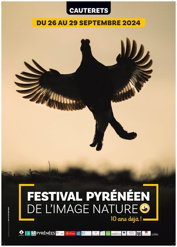 L'affiche de la 10e édition du festival Pyrénéen de l'Image de Nature de Cauterets. Crédit photo : Luca Melcarne