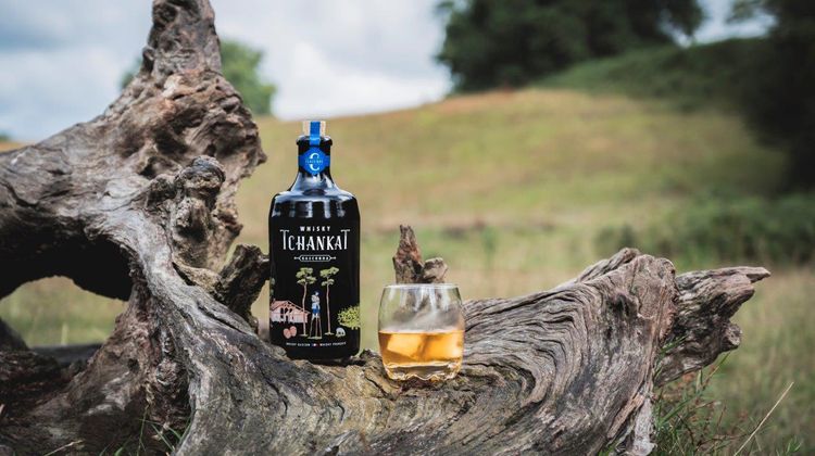 Une bouteille de Tchankat et un verre posés sur une vieille souche d'arbre dans la campagne gersoise