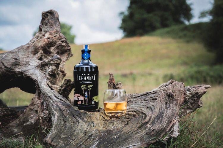 Une bouteille de Tchankat et un verre posés sur une vieille souche d'arbre dans la campagne gersoise
