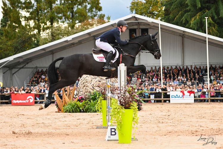 Le CCI 5 * L de Pau. Crédit photo : Laura Dupuy.