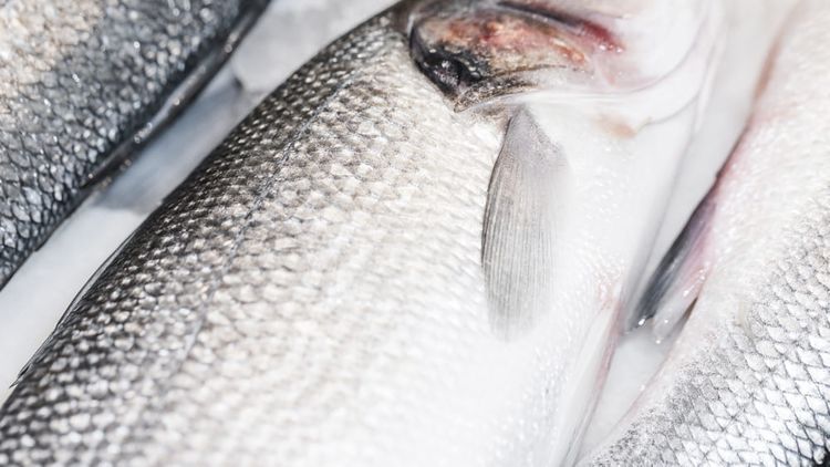 Ecailles de poisson.