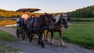 La Ferme Au Bèth Loc propose aux touristes de faire découvrir le Béarn en calèche. Crédit photo : Pascal Le Doaré