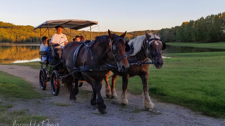 La Ferme Au Bèth Loc propose aux touristes de faire découvrir le Béarn en calèche. Crédit photo : Pascal Le Doaré