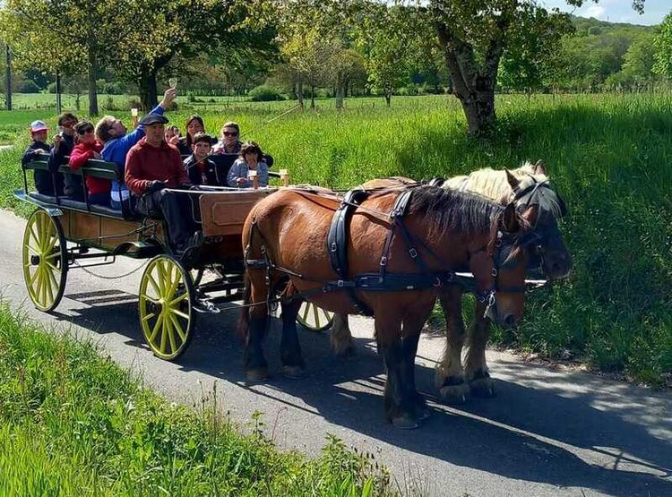 Les apéros-calèche proposés par la ferme au Beth Loc, en Béarn.