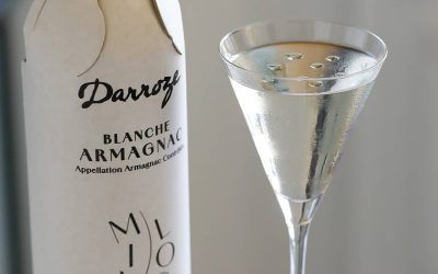 La Blanche d'Armagnac sera utilisée dans le premier Concours Barman Mixology Darroze, en décembre 2025. Crédit photo : Clément Garby