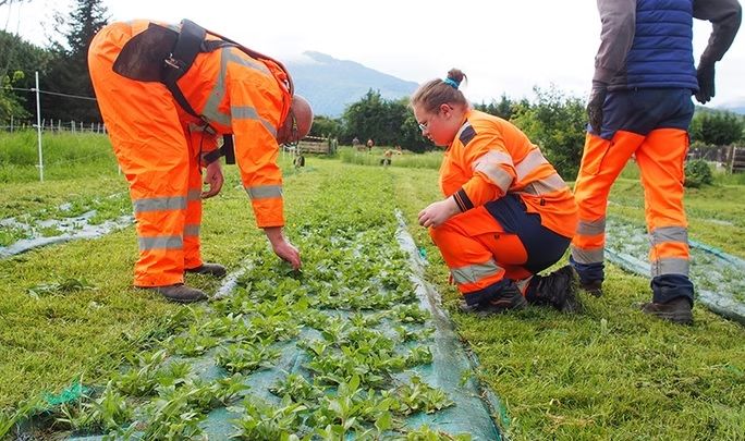 Des travailleurs du pôle Artémis, de l'Estivade.