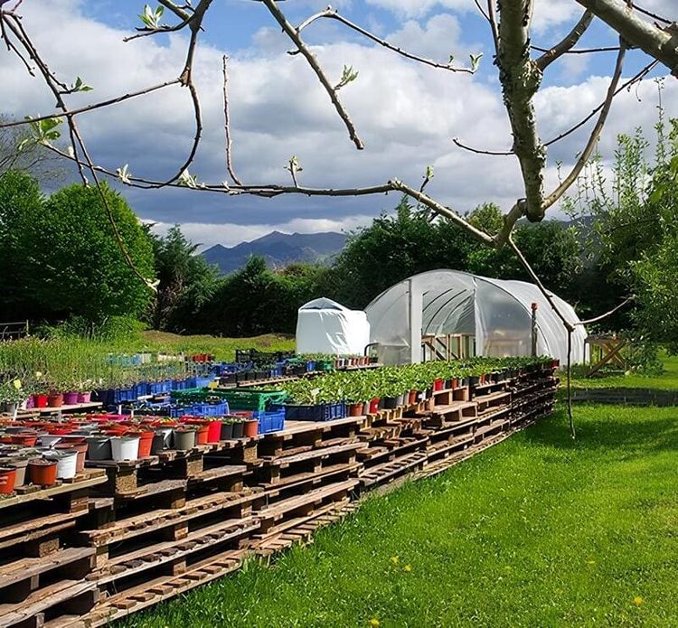 La serre du pôle Artémis, de l'Estivade.