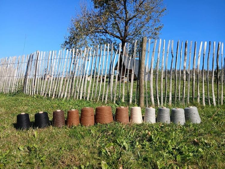 Les bobines de laine issus des alpagas de la ferme Pakucha, à Lucq-de-Béarn.