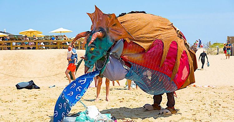 VERTUEUX - Le Triselectops joue la sensibilisation sur les plages landaises