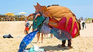 VERTUEUX - Le Triselectops joue la sensibilisation sur les plages landaises