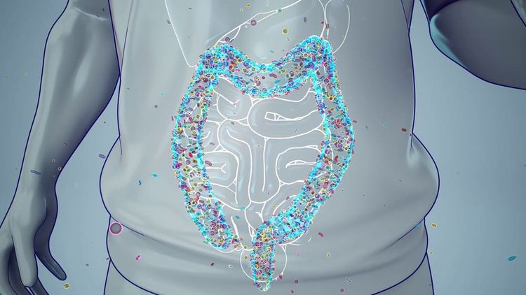 Le microbiote intestinal d'un homme. Crédit photo : Magnific