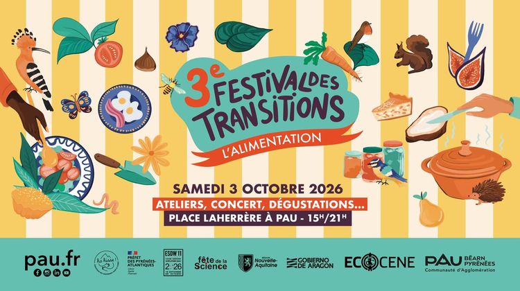 L'Affiche du festival des Transitions, à Pau.