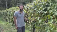 Thomas Pissondes est le représentant de la 5e génération de sa famille à la tête du domaine viticole du Clos Labrée, à Jurançon.