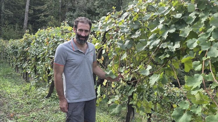 Thomas Pissondes est le représentant de la 5e génération de sa famille à la tête du domaine viticole du Clos Labrée, à Jurançon.