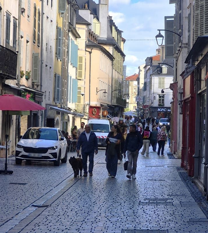 Rue du centre-ville de Pau.